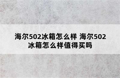 海尔502冰箱怎么样 海尔502冰箱怎么样值得买吗